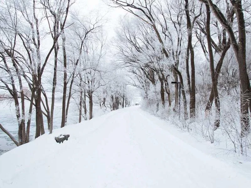 고용지원금