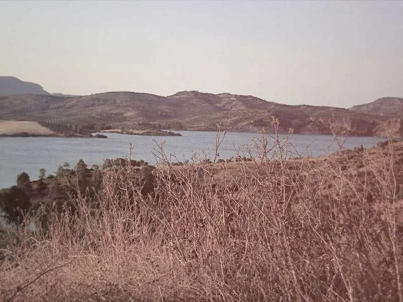 미국 smr 대장주