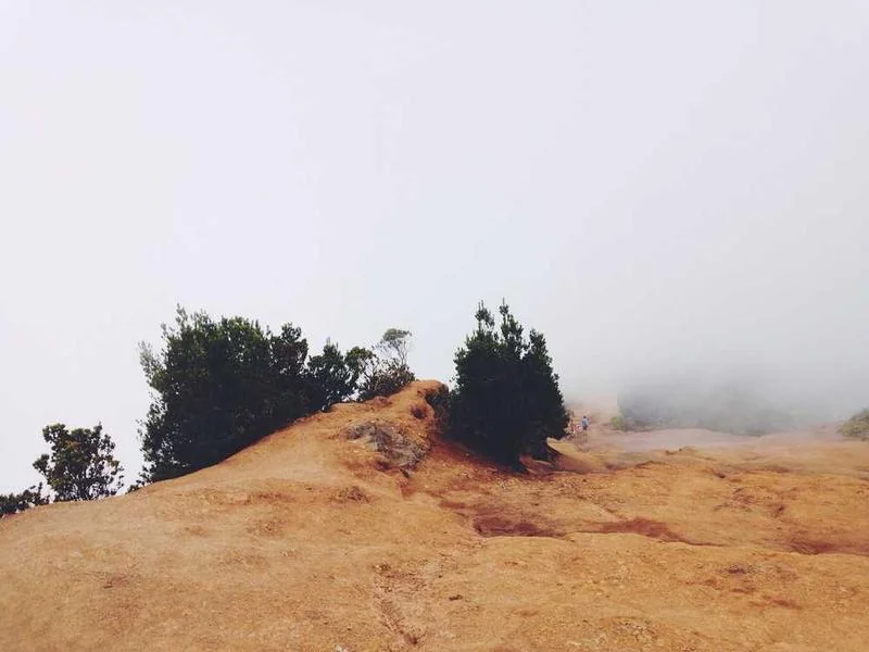 부동산법
