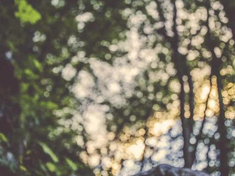 수원정화조막힘,정화조배관뚫는업체https://drainpro.co.kr/septic-tank/