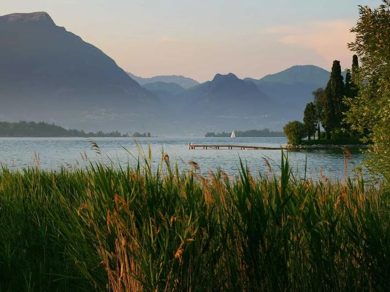 가평정화조막힘,정화조배관뚫는업체https://drainpro.co.kr/septic-tank/