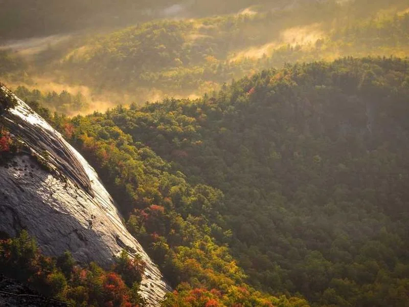 양평정화조막힘,정화조배관뚫는업체https://drainpro.co.kr/septic-tank/