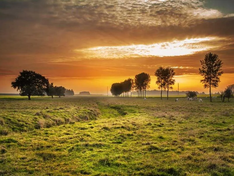 종로구정화조막힘,정화조배관뚫는업체https://drainpro.co.kr/septic-tank/