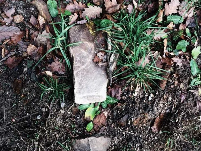 용산구정화조막힘,정화조배관뚫는업체https://drainpro.co.kr/septic-tank/