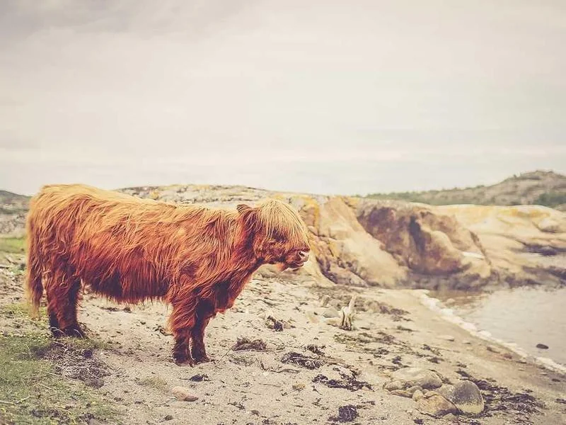 용산구정화조막힘,정화조배관뚫는업체https://drainpro.co.kr/septic-tank/