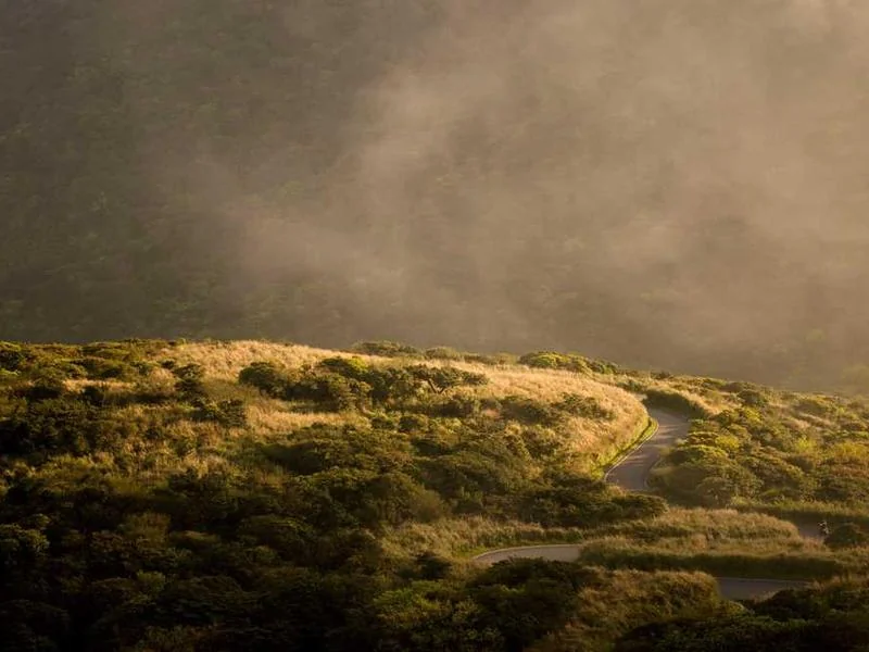 용산구정화조막힘,정화조배관뚫는업체https://drainpro.co.kr/septic-tank/