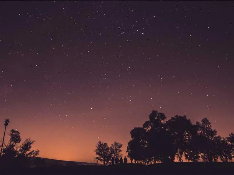 성동구정화조막힘,정화조배관뚫는업체https://drainpro.co.kr/septic-tank/