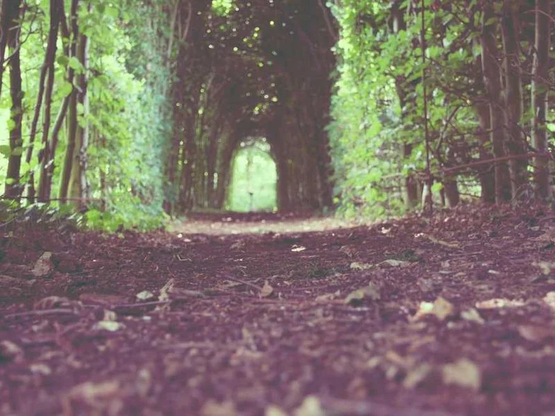 성동구정화조막힘,정화조배관뚫는업체https://drainpro.co.kr/septic-tank/