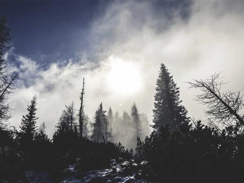 동대문구정화조막힘,정화조배관뚫는업체https://drainpro.co.kr/septic-tank/