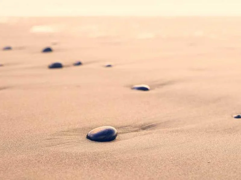 용인정화조막힘,정화조배관뚫는업체https://drainpro.co.kr/septic-tank/