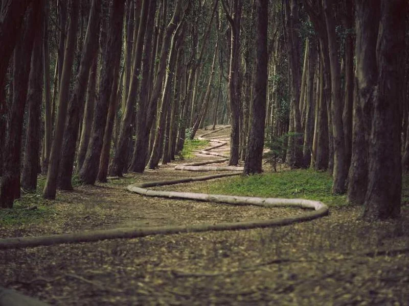 노원구정화조막힘,정화조배관뚫는업체https://drainpro.co.kr/septic-tank/