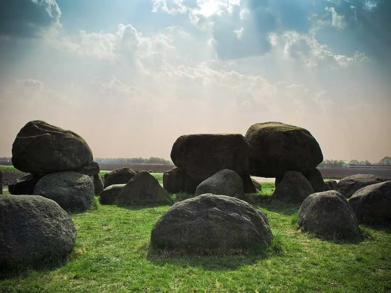 양천구정화조막힘,정화조배관뚫는업체https://drainpro.co.kr/septic-tank/