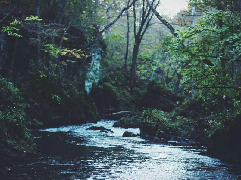 화성정화조막힘,정화조배관뚫는업체https://drainpro.co.kr/septic-tank/