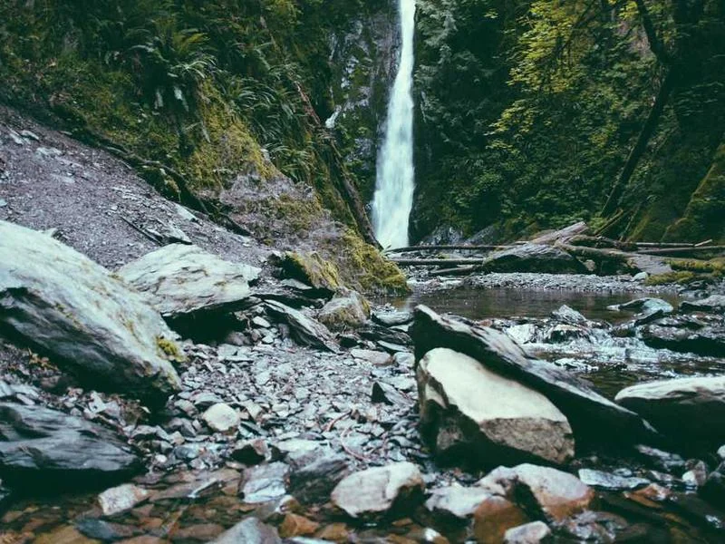 양천구정화조막힘,정화조배관뚫는업체https://drainpro.co.kr/septic-tank/