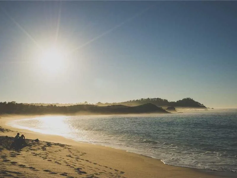 강서구정화조막힘,정화조배관뚫는업체https://drainpro.co.kr/septic-tank/