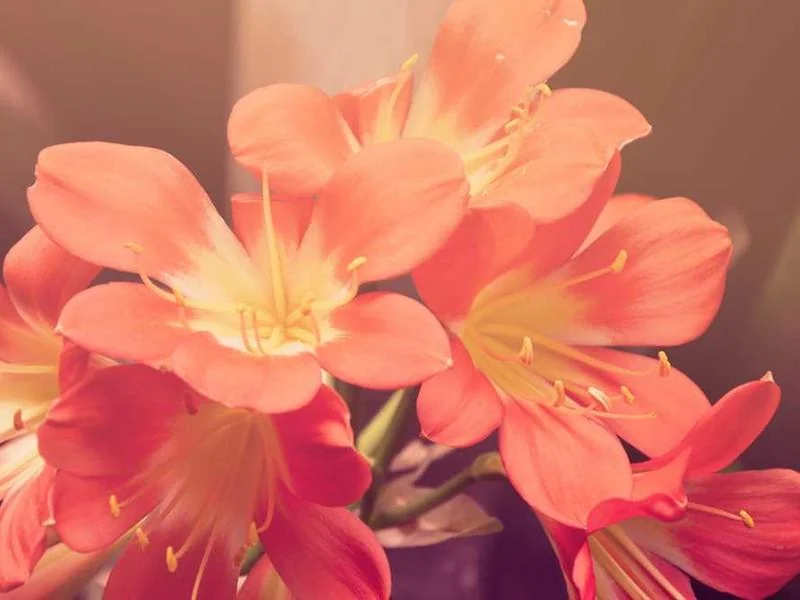 구로구정화조막힘,정화조배관뚫는업체https://drainpro.co.kr/septic-tank/