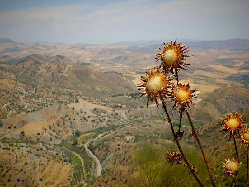 구로구정화조막힘,정화조배관뚫는업체https://drainpro.co.kr/septic-tank/