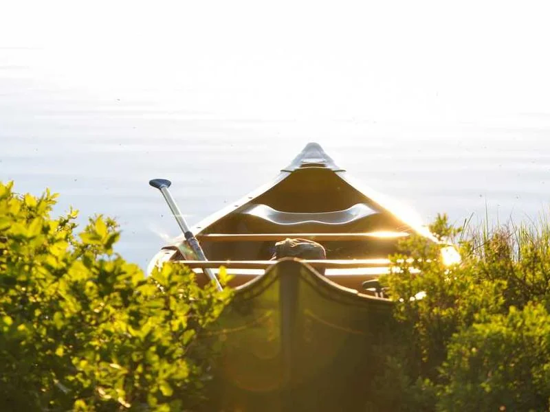 금천구정화조막힘,정화조배관뚫는업체https://drainpro.co.kr/septic-tank/