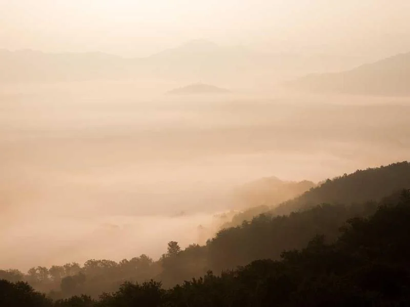 동작구정화조막힘,정화조배관뚫는업체https://drainpro.co.kr/septic-tank/