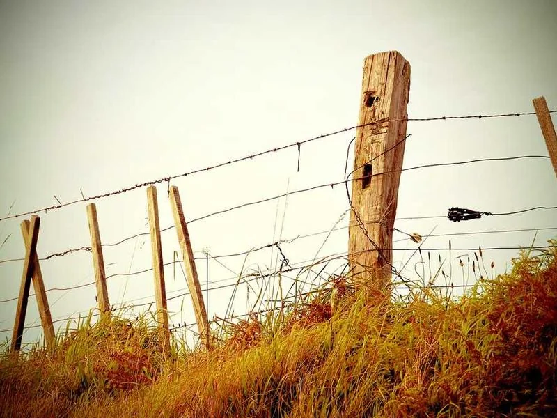 서초구정화조막힘,정화조배관뚫는업체https://drainpro.co.kr/septic-tank/