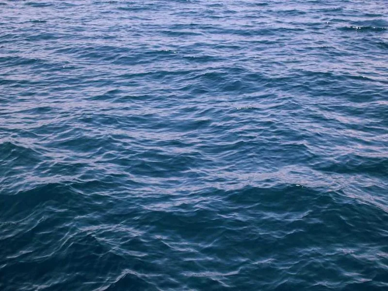 송파구정화조막힘,정화조배관뚫는업체https://drainpro.co.kr/septic-tank/