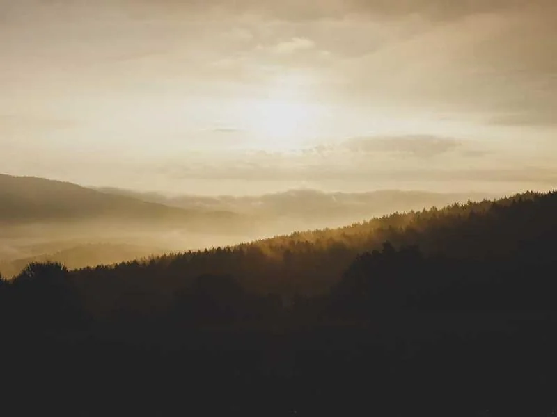 강동구정화조막힘,정화조배관뚫는업체https://drainpro.co.kr/septic-tank/