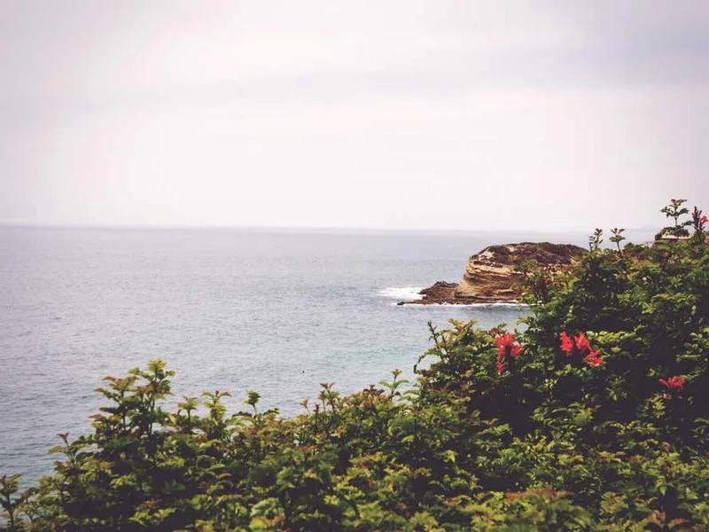 안산정화조막힘,정화조배관뚫는업체https://drainpro.co.kr/septic-tank/