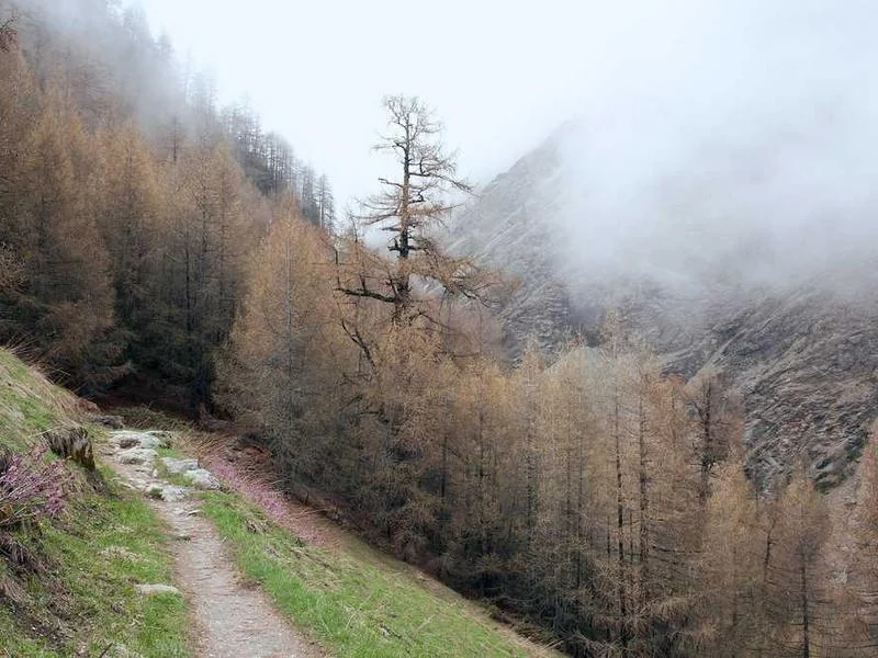 부천정화조막힘,정화조배관뚫는업체https://drainpro.co.kr/septic-tank/