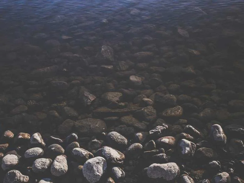 하남정화조막힘,정화조배관뚫는업체https://drainpro.co.kr/septic-tank/