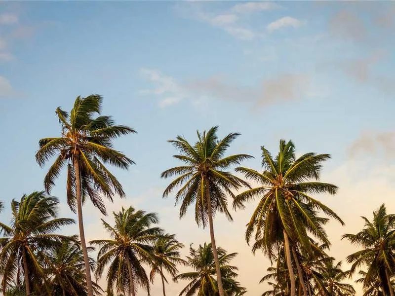 하남정화조막힘,정화조배관뚫는업체https://drainpro.co.kr/septic-tank/