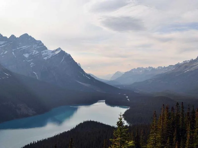 파주정화조막힘,정화조배관뚫는업체https://drainpro.co.kr/septic-tank/