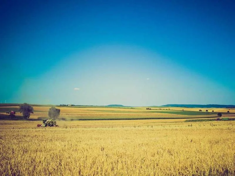 안성정화조막힘,정화조배관뚫는업체https://drainpro.co.kr/septic-tank/