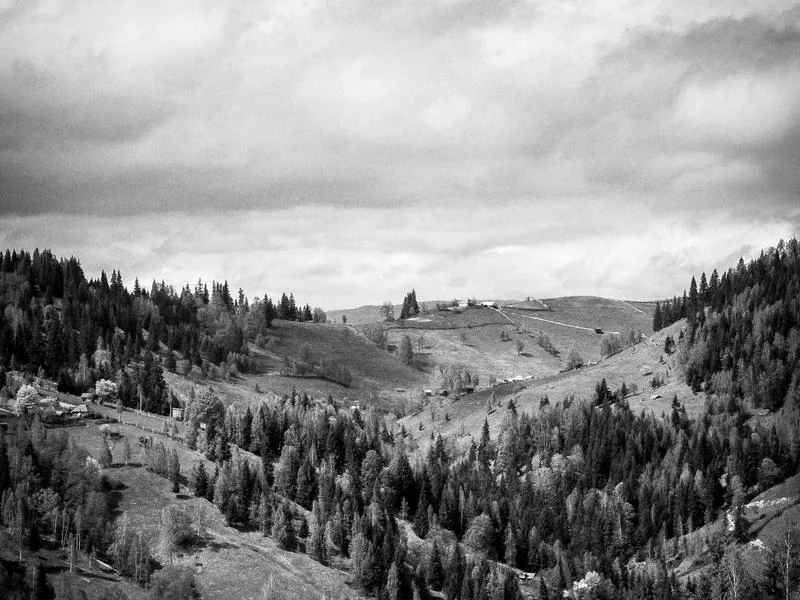 나트랑 항공권 특가