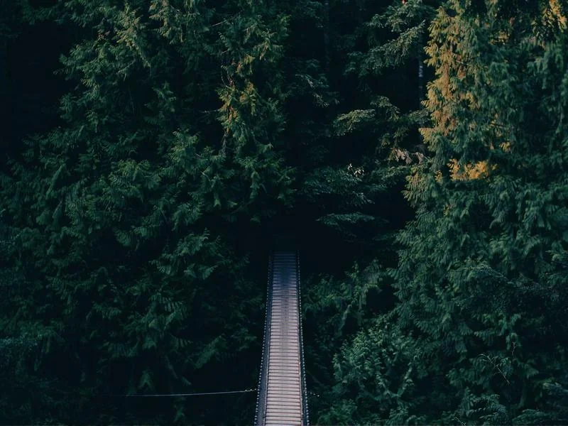 나트랑 호핑투어