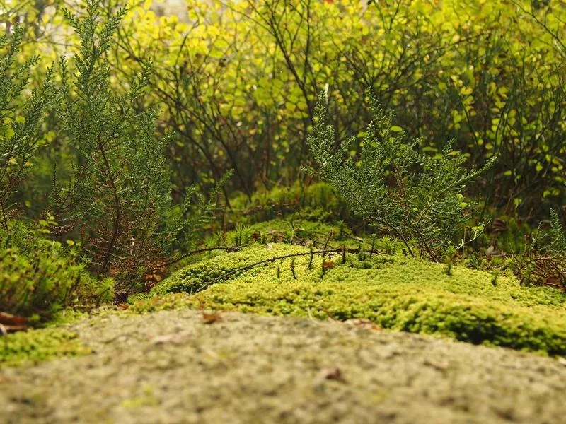 나트랑 호핑투어