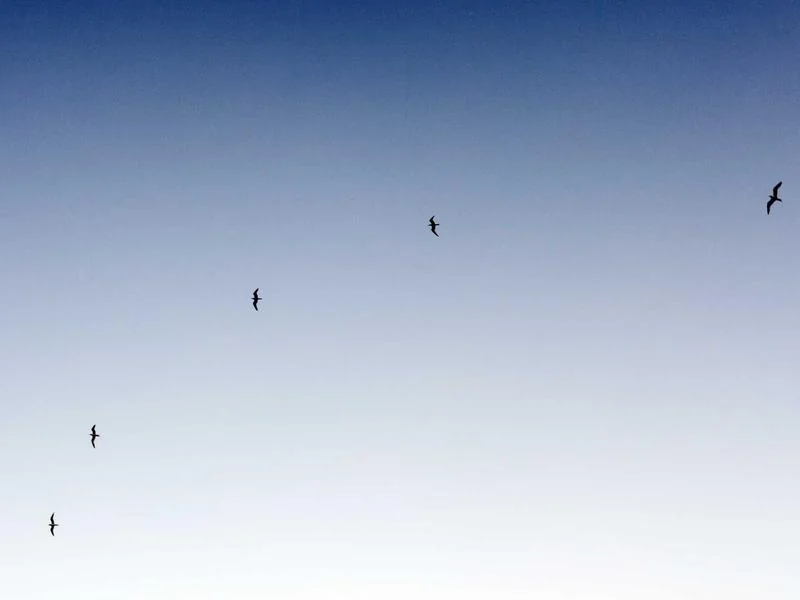 나트랑 호핑투어