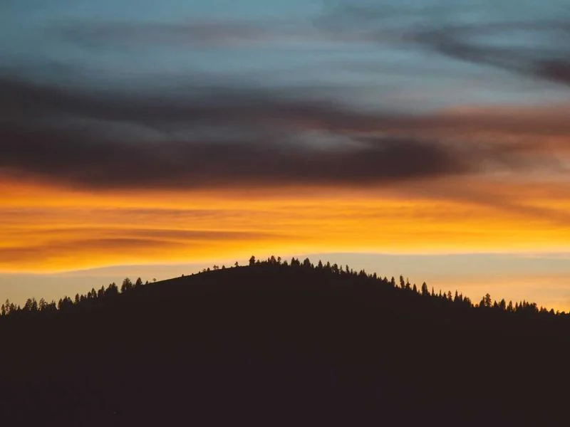 다주택자 양도세 중과