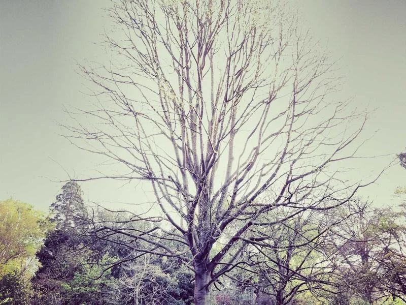 다주택자 양도세 중과