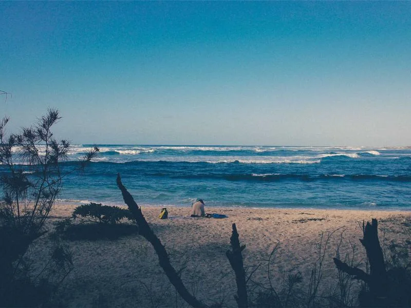 다주택자 양도세 중과