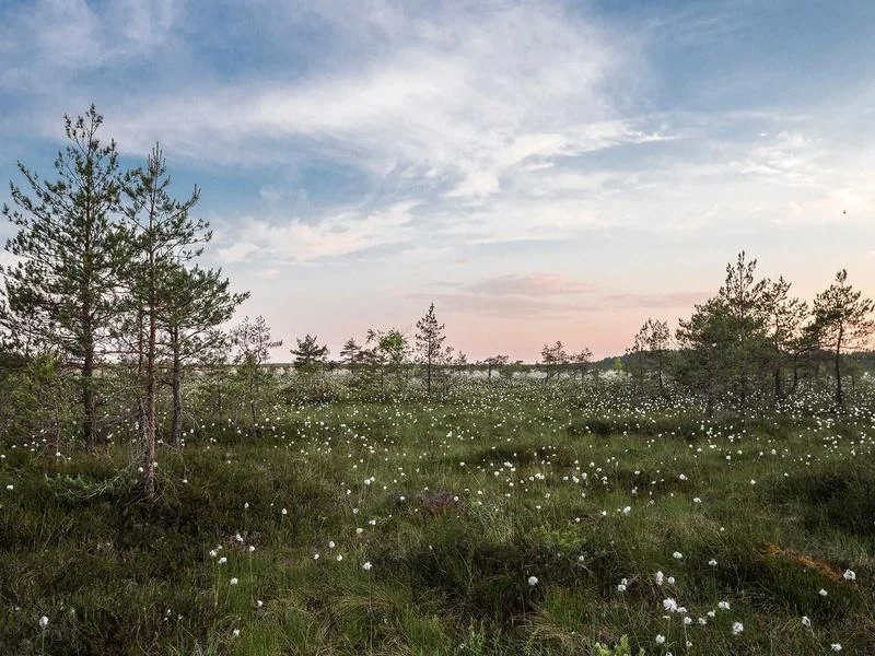 달러 베트남 환율