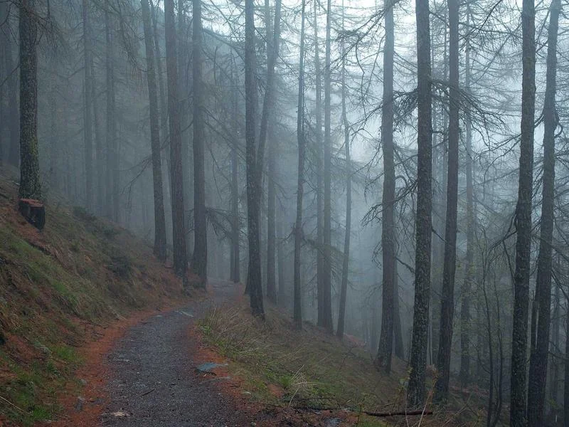 믿을만한중고차사이트