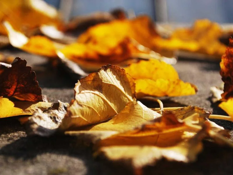 믿을만한중고차사이트