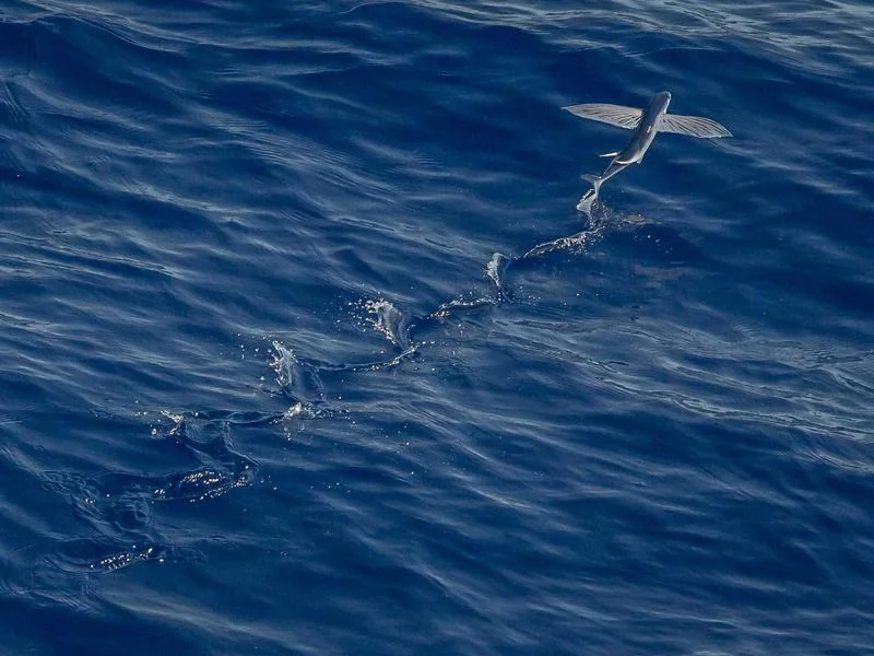 믿을만한중고차사이트