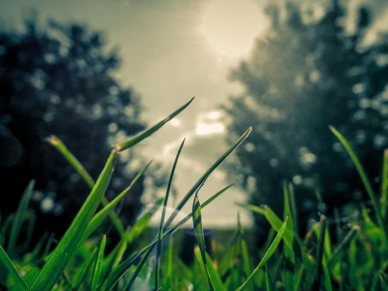 베트남 나트랑 날씨