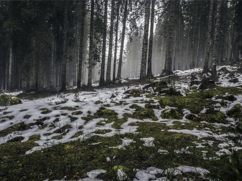 부동산 양도세 계산기
