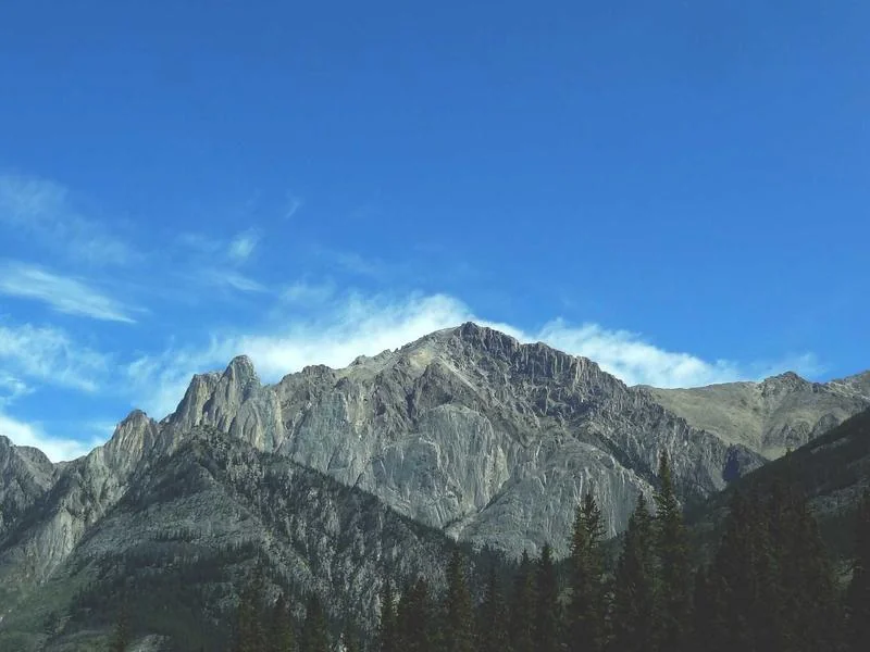 부동산 양도세 계산기