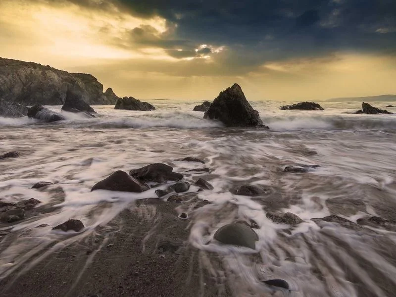 삼성전자 주가 전망