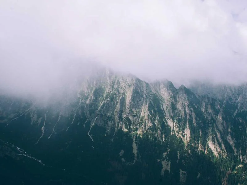 생활의달인 식빵