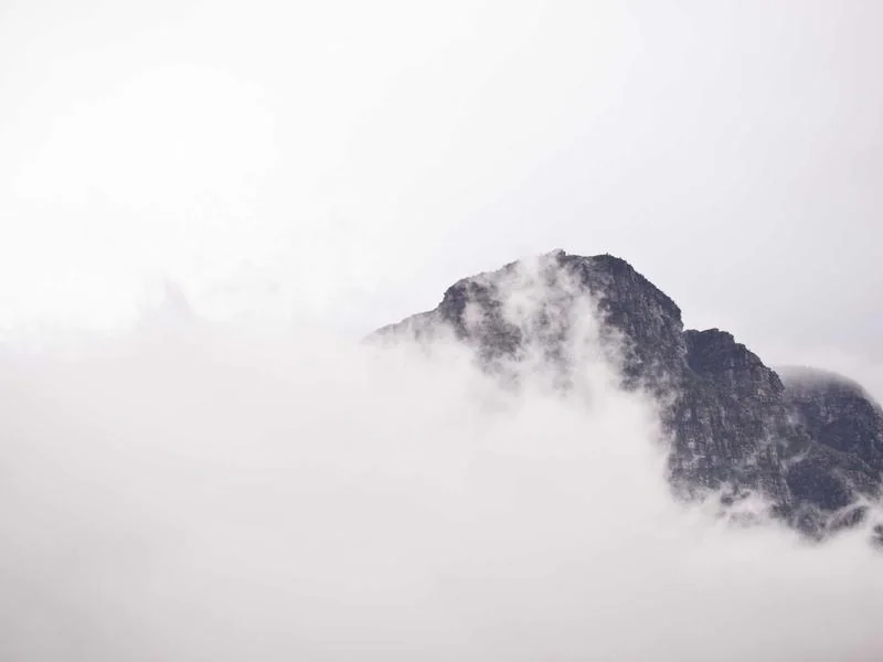 생활의달인 식빵