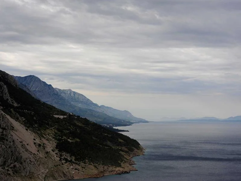 생활의달인 쌀국수